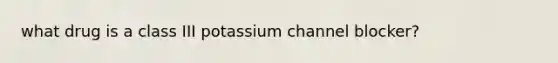 what drug is a class III potassium channel blocker?