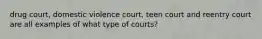 drug court, domestic violence court, teen court and reentry court are all examples of what type of courts?