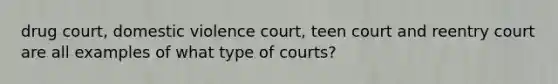 drug court, domestic violence court, teen court and reentry court are all examples of what type of courts?