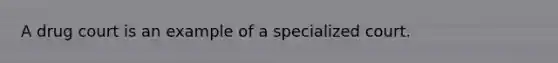 A drug court is an example of a specialized court.