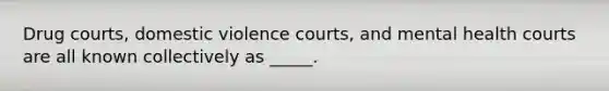 Drug courts, domestic violence courts, and mental health courts are all known collectively as _____.