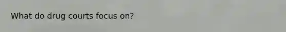 What do drug courts focus on?