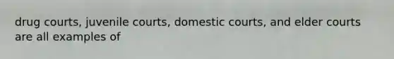 drug courts, juvenile courts, domestic courts, and elder courts are all examples of