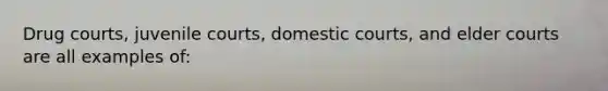 Drug courts, juvenile courts, domestic courts, and elder courts are all examples of: