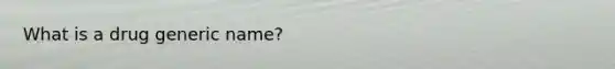 What is a drug generic name?
