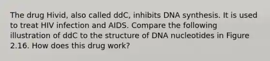 The drug Hivid, also called ddC, inhibits DNA synthesis. It is used to treat HIV infection and AIDS. Compare the following illustration of ddC to the structure of DNA nucleotides in Figure 2.16. How does this drug work?