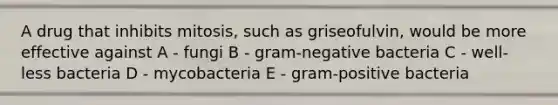 A drug that inhibits mitosis, such as griseofulvin, would be more effective against A - fungi B - gram-negative bacteria C - well-less bacteria D - mycobacteria E - gram-positive bacteria