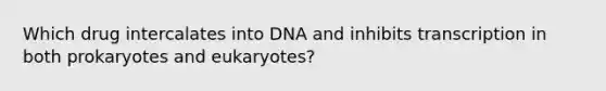 Which drug intercalates into DNA and inhibits transcription in both prokaryotes and eukaryotes?