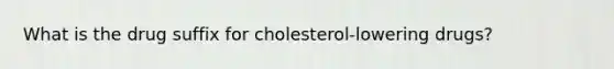 What is the drug suffix for cholesterol-lowering drugs?