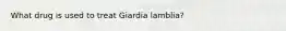 What drug is used to treat Giardia lamblia?