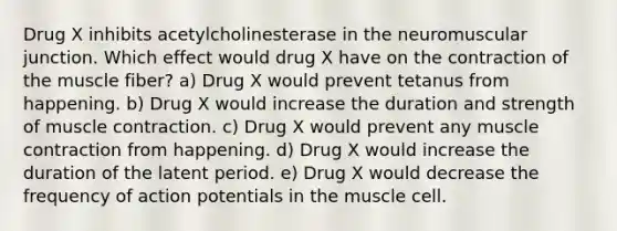 Drug X inhibits acetylcholinesterase in the neuromuscular junction. Which effect would drug X have on the contraction of the muscle fiber? a) Drug X would prevent tetanus from happening. b) Drug X would increase the duration and strength of muscle contraction. c) Drug X would prevent any muscle contraction from happening. d) Drug X would increase the duration of the latent period. e) Drug X would decrease the frequency of action potentials in the muscle cell.