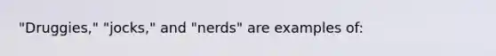 "Druggies," "jocks," and "nerds" are examples of: