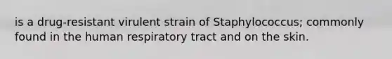 is a drug-resistant virulent strain of Staphylococcus; commonly found in the human respiratory tract and on the skin.