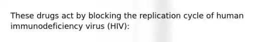 These drugs act by blocking the replication cycle of human immunodeficiency virus (HIV):