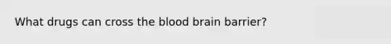 What drugs can cross the blood brain barrier?