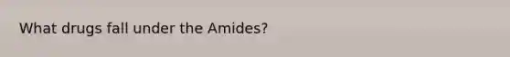 What drugs fall under the Amides?