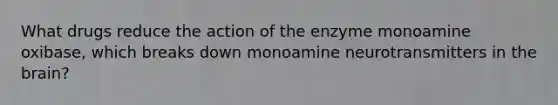 What drugs reduce the action of the enzyme monoamine oxibase, which breaks down monoamine neurotransmitters in <a href='https://www.questionai.com/knowledge/kLMtJeqKp6-the-brain' class='anchor-knowledge'>the brain</a>?