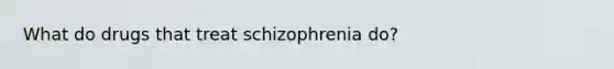 What do drugs that treat schizophrenia do?