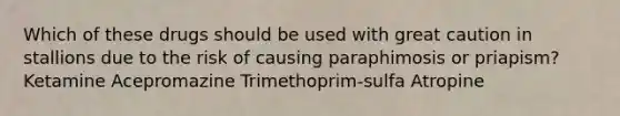 Which of these drugs should be used with great caution in stallions due to the risk of causing paraphimosis or priapism? Ketamine Acepromazine Trimethoprim-sulfa Atropine