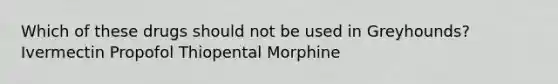 Which of these drugs should not be used in Greyhounds? Ivermectin Propofol Thiopental Morphine