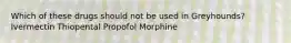 Which of these drugs should not be used in Greyhounds? Ivermectin Thiopental Propofol Morphine