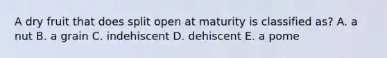 A dry fruit that does split open at maturity is classified as? A. a nut B. a grain C. indehiscent D. dehiscent E. a pome