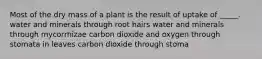 Most of the dry mass of a plant is the result of uptake of _____. water and minerals through root hairs water and minerals through mycorrhizae carbon dioxide and oxygen through stomata in leaves carbon dioxide through stoma