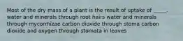 Most of the dry mass of a plant is the result of uptake of _____. water and minerals through root hairs water and minerals through mycorrhizae carbon dioxide through stoma carbon dioxide and oxygen through stomata in leaves