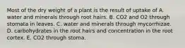 Most of the dry weight of a plant is the result of uptake of A. water and minerals through root hairs. B. CO2 and O2 through stomata in leaves. C. water and minerals through mycorrhizae. D. carbohydrates in the root hairs and concentration in the root cortex. E. CO2 through stoma.