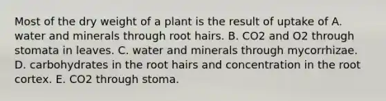 Most of the dry weight of a plant is the result of uptake of A. water and minerals through root hairs. B. CO2 and O2 through stomata in leaves. C. water and minerals through mycorrhizae. D. carbohydrates in the root hairs and concentration in the root cortex. E. CO2 through stoma.