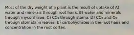 Most of the dry weight of a plant is the result of uptake of A) water and minerals through root hairs. B) water and minerals through mycorrhizae. C) CO₂ through stoma. D) CO₂ and O₂ through stomata in leaves. E) carbohydrates in the root hairs and concentration in the root cortex.