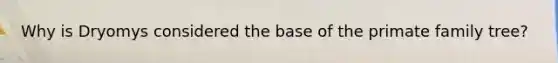 Why is Dryomys considered the base of the primate family tree?