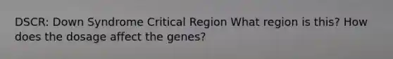 DSCR: Down Syndrome Critical Region What region is this? How does the dosage affect the genes?