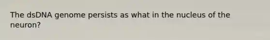 The dsDNA genome persists as what in the nucleus of the neuron?
