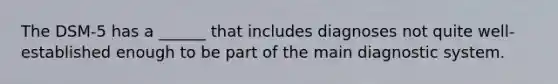 The DSM-5 has a ______ that includes diagnoses not quite well-established enough to be part of the main diagnostic system.