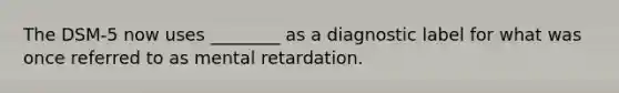 The DSM-5 now uses ________ as a diagnostic label for what was once referred to as mental retardation.