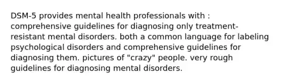 DSM-5 provides mental health professionals with : comprehensive guidelines for diagnosing only treatment-resistant mental disorders. both a common language for labeling psychological disorders and comprehensive guidelines for diagnosing them. pictures of "crazy" people. very rough guidelines for diagnosing mental disorders.