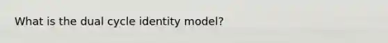 What is the dual cycle identity model?
