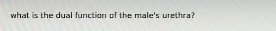 what is the dual function of the male's urethra?