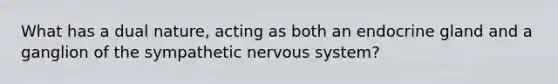 What has a dual nature, acting as both an endocrine gland and a ganglion of the sympathetic nervous system?