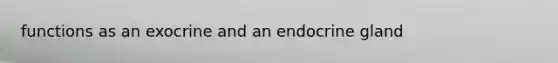 functions as an exocrine and an endocrine gland