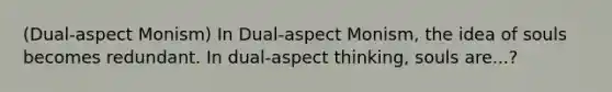 (Dual-aspect Monism) In Dual-aspect Monism, the idea of souls becomes redundant. In dual-aspect thinking, souls are...?