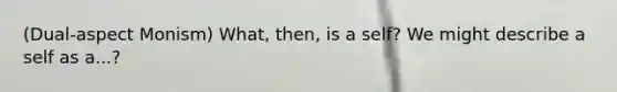 (Dual-aspect Monism) What, then, is a self? We might describe a self as a...?