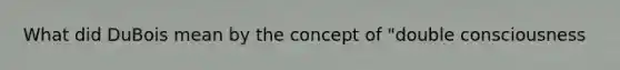 What did DuBois mean by the concept of "double consciousness