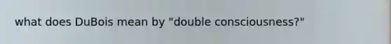 what does DuBois mean by "double consciousness?"