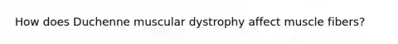 How does Duchenne muscular dystrophy affect muscle fibers?