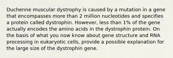 Duchenne muscular dystrophy is caused by a mutation in a gene that encompasses more than 2 million nucleotides and specifies a protein called dystrophin. However, less than 1% of the gene actually encodes the amino acids in the dystrophin protein. On the basis of what you now know about gene structure and RNA processing in eukaryotic cells, provide a possible explanation for the large size of the dystrophin gene.