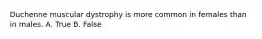 Duchenne muscular dystrophy is more common in females than in males. A. True B. False