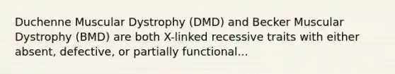 Duchenne Muscular Dystrophy (DMD) and Becker Muscular Dystrophy (BMD) are both X-linked recessive traits with either absent, defective, or partially functional...