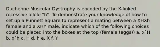 Duchenne Muscular Dystrophy is encoded by the X-linked recessive allele "h". To demonstrate your knowledge of how to set up a Punnett Square to represent a mating between a XHXh female and a XHY male, indicate which of the following choices could be placed into the boxes at the top (female (eggs)) a. xˆH b. xˆh c. H d. h e. X f. Y